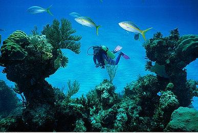 传2K将在夏季游戏节上公布《无主之地4》